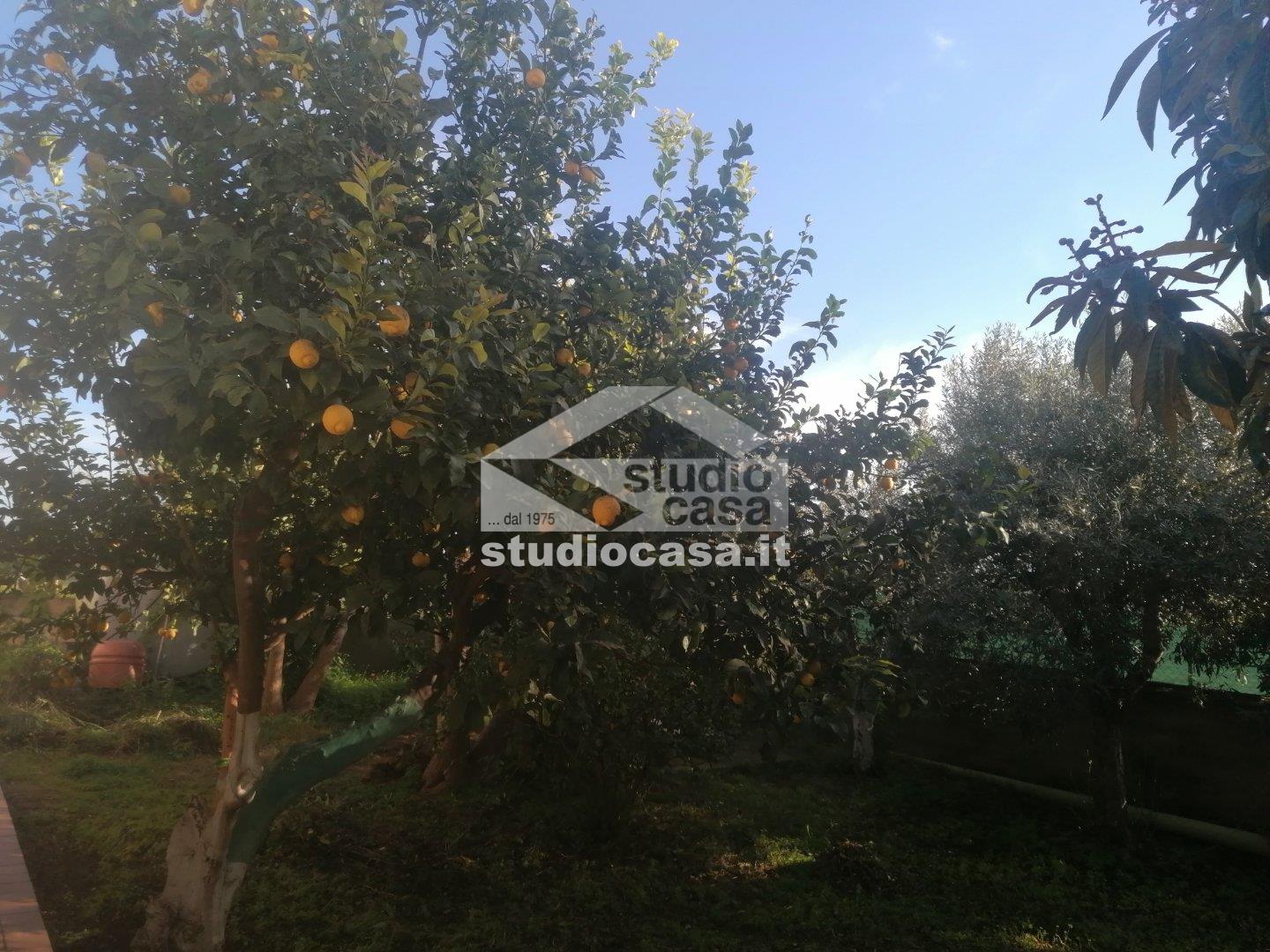 Villa Unifamiliare in vendita a Isola di Capo Rizzuto