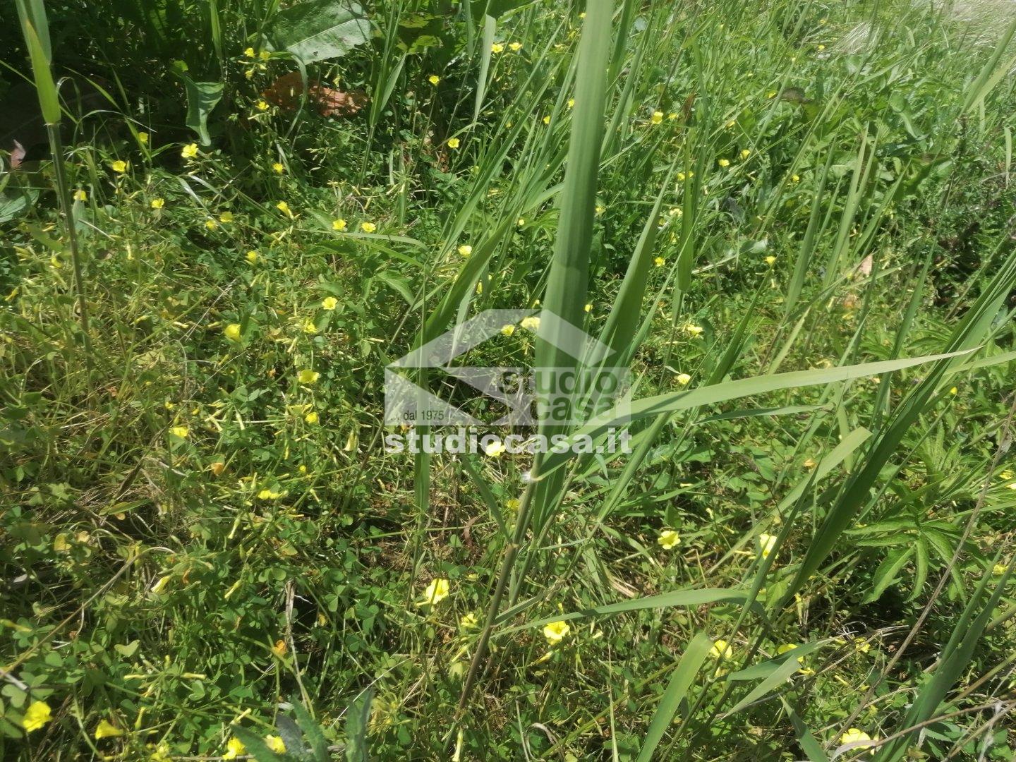 Casa Unifamiliare in vendita a Rocca di Neto