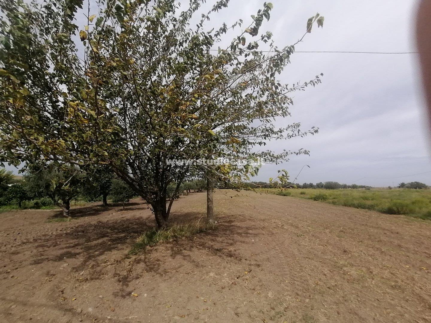 Terreno Residenziale in vendita a Crotone