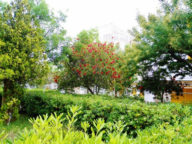 Appartamento in vendita a Crotone