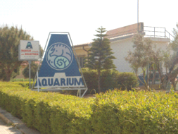 Appartamento in vendita a Isola di Capo Rizzuto