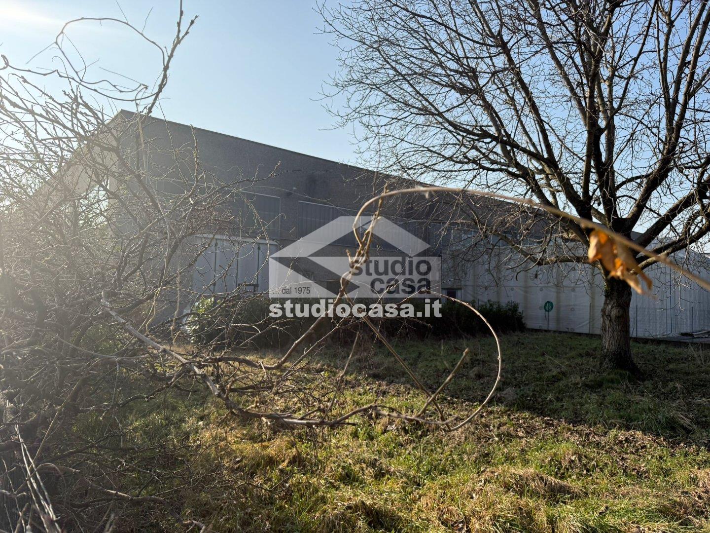 Terreno Agricolo in vendita a Quintano