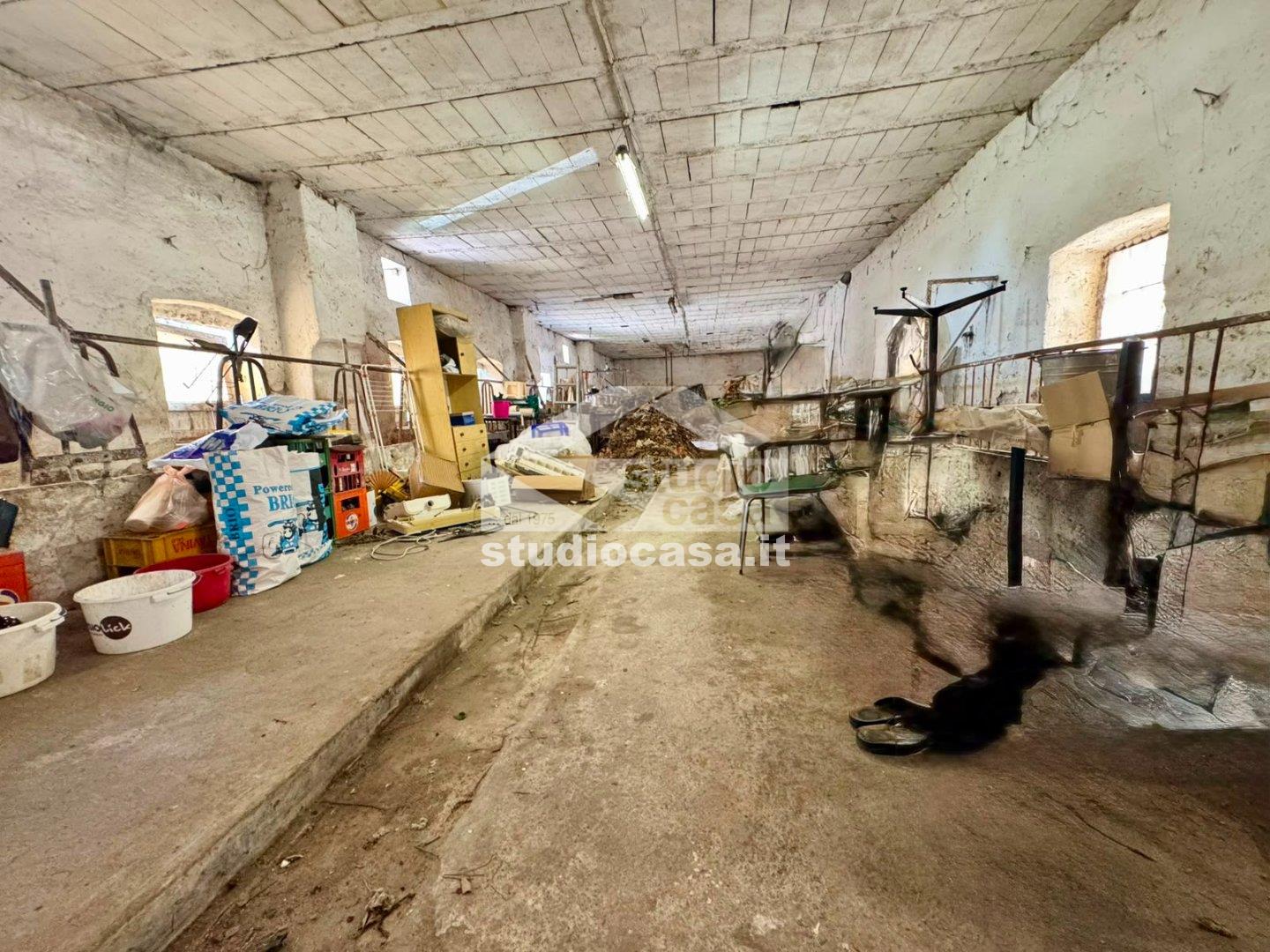 Casa Rustica in vendita a Misano di Gera d