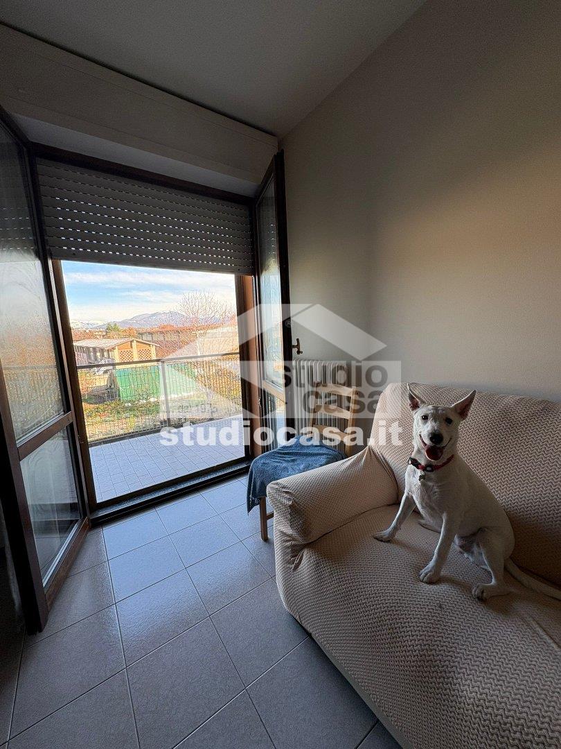 Appartamento in vendita a Bergamo