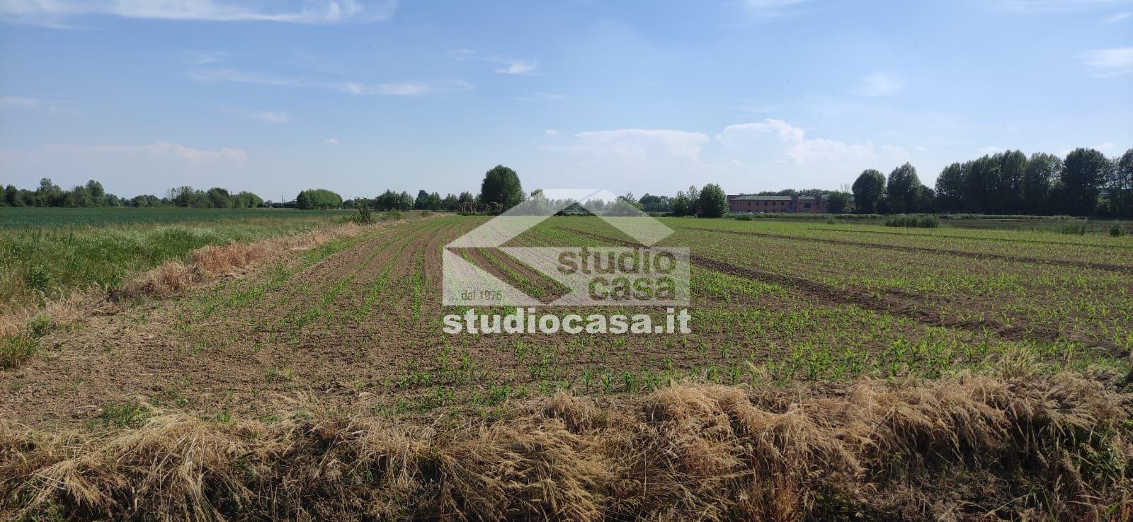 Terreno Agricolo in vendita a Caravaggio