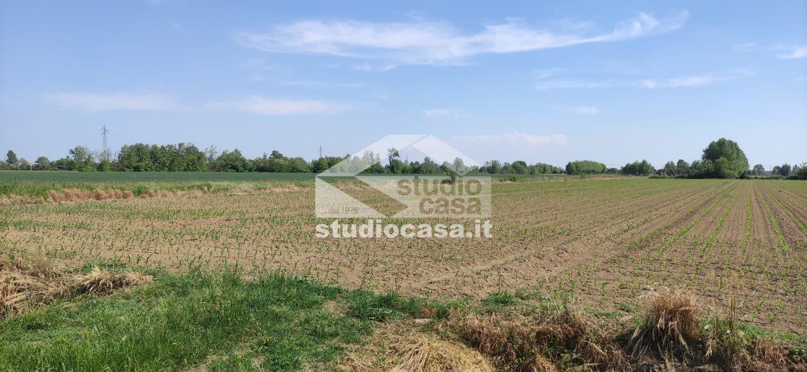 Terreno Agricolo in vendita a Caravaggio