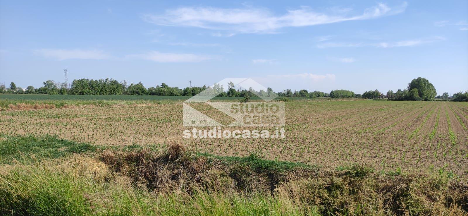 Terreno Agricolo in vendita a Caravaggio