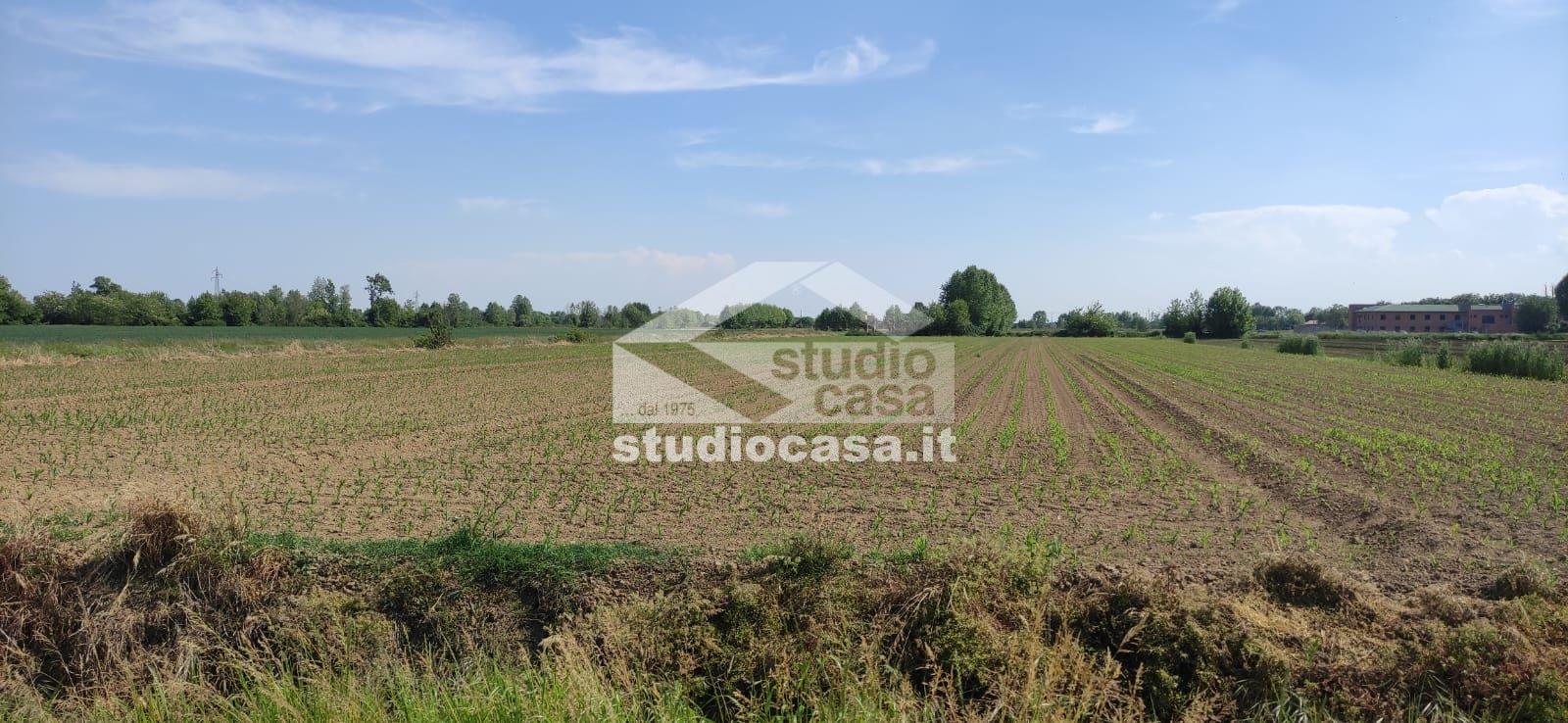 Terreno Agricolo in vendita a Caravaggio