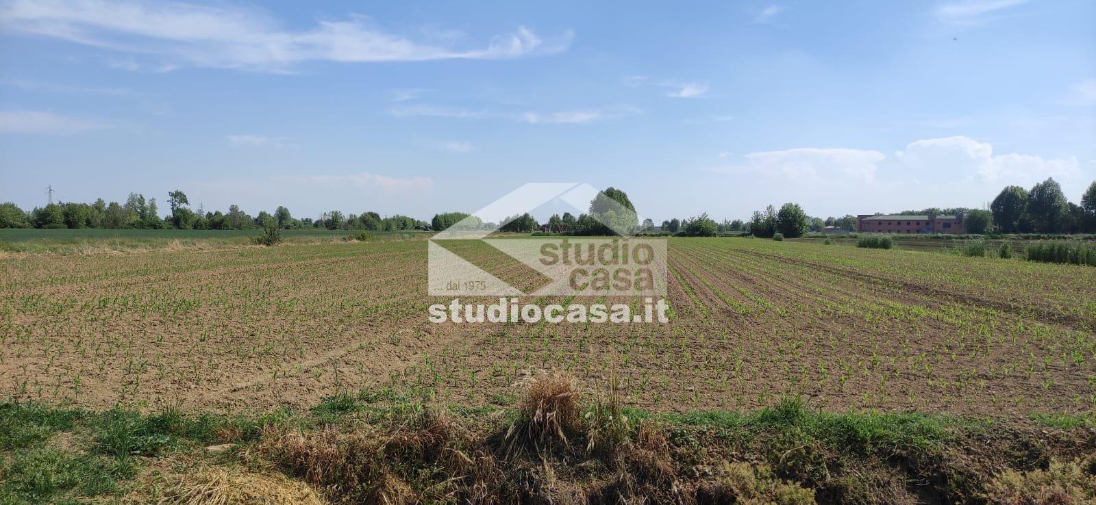 Terreno Agricolo in vendita a Caravaggio