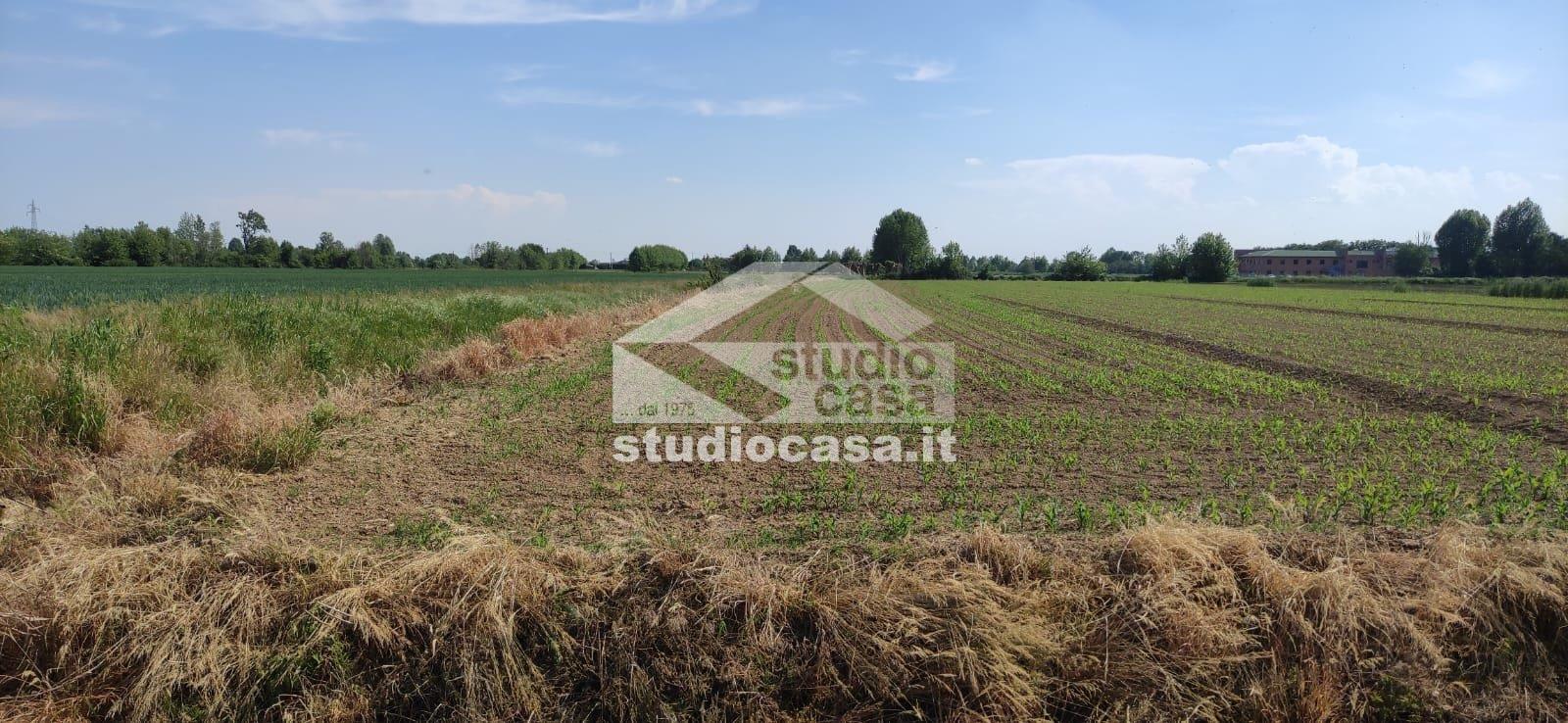 Terreno Agricolo in vendita a Caravaggio