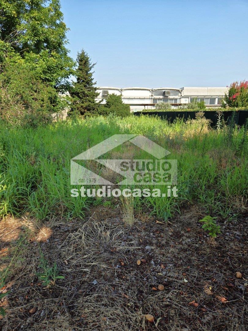 Casa Unifamiliare in vendita a Cremona