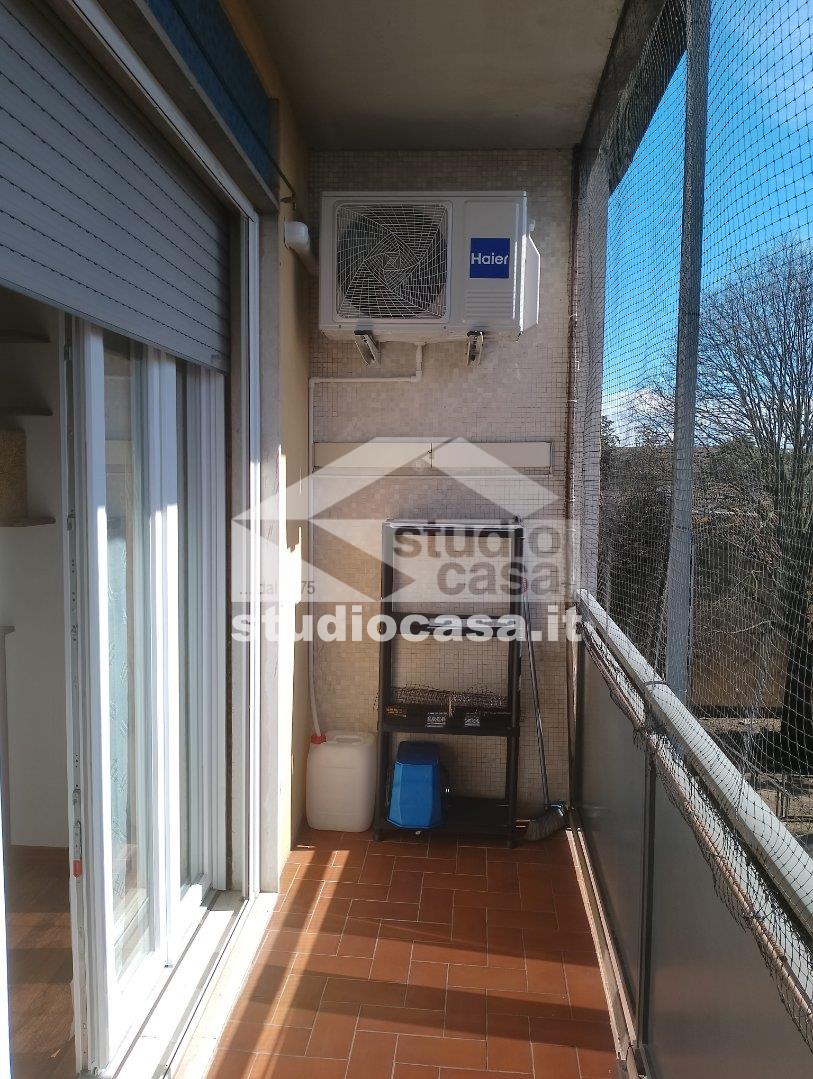 Appartamento in affitto a Codogno