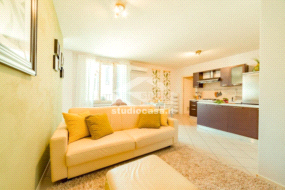 Appartamento in affitto a Codogno