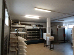 Laboratorio in vendita a San Bassano