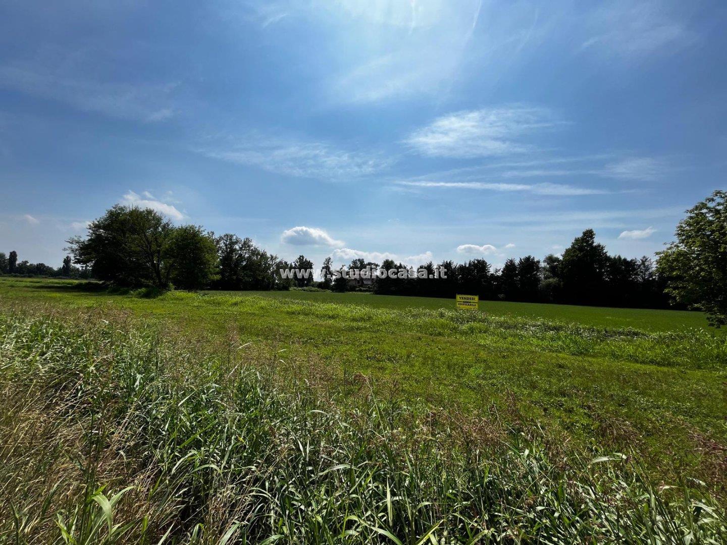 Terreno Residenziale in vendita a Chieve