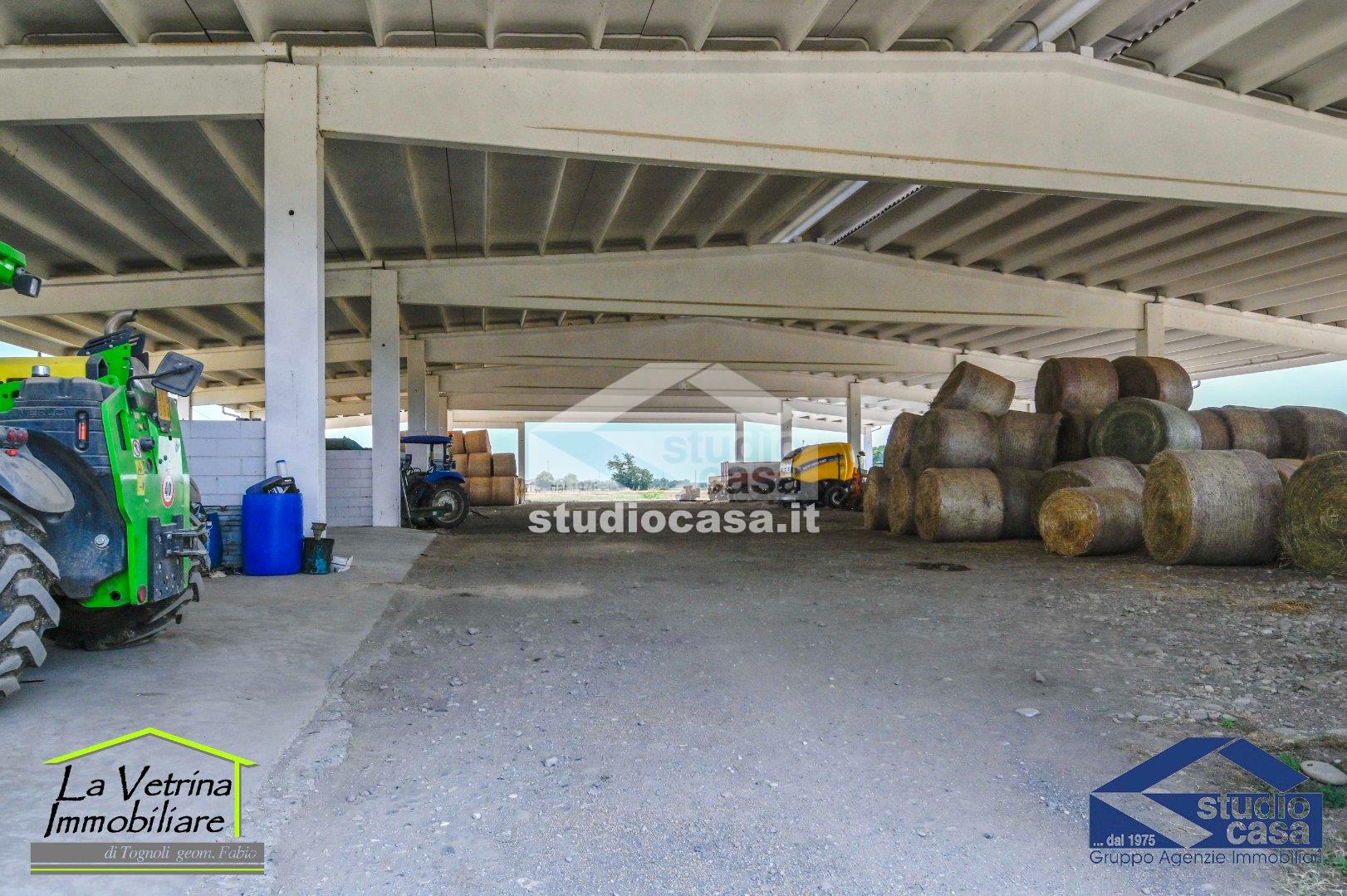 Capannone in affitto a Brusaporto