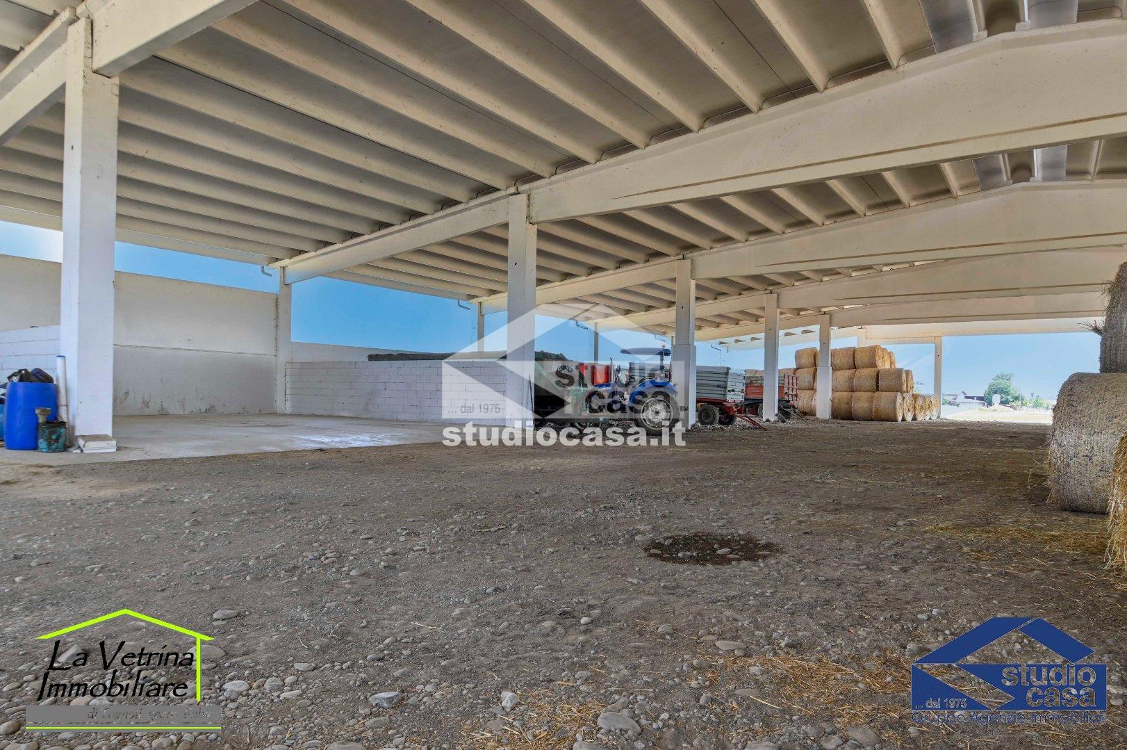 Capannone in affitto a Brusaporto