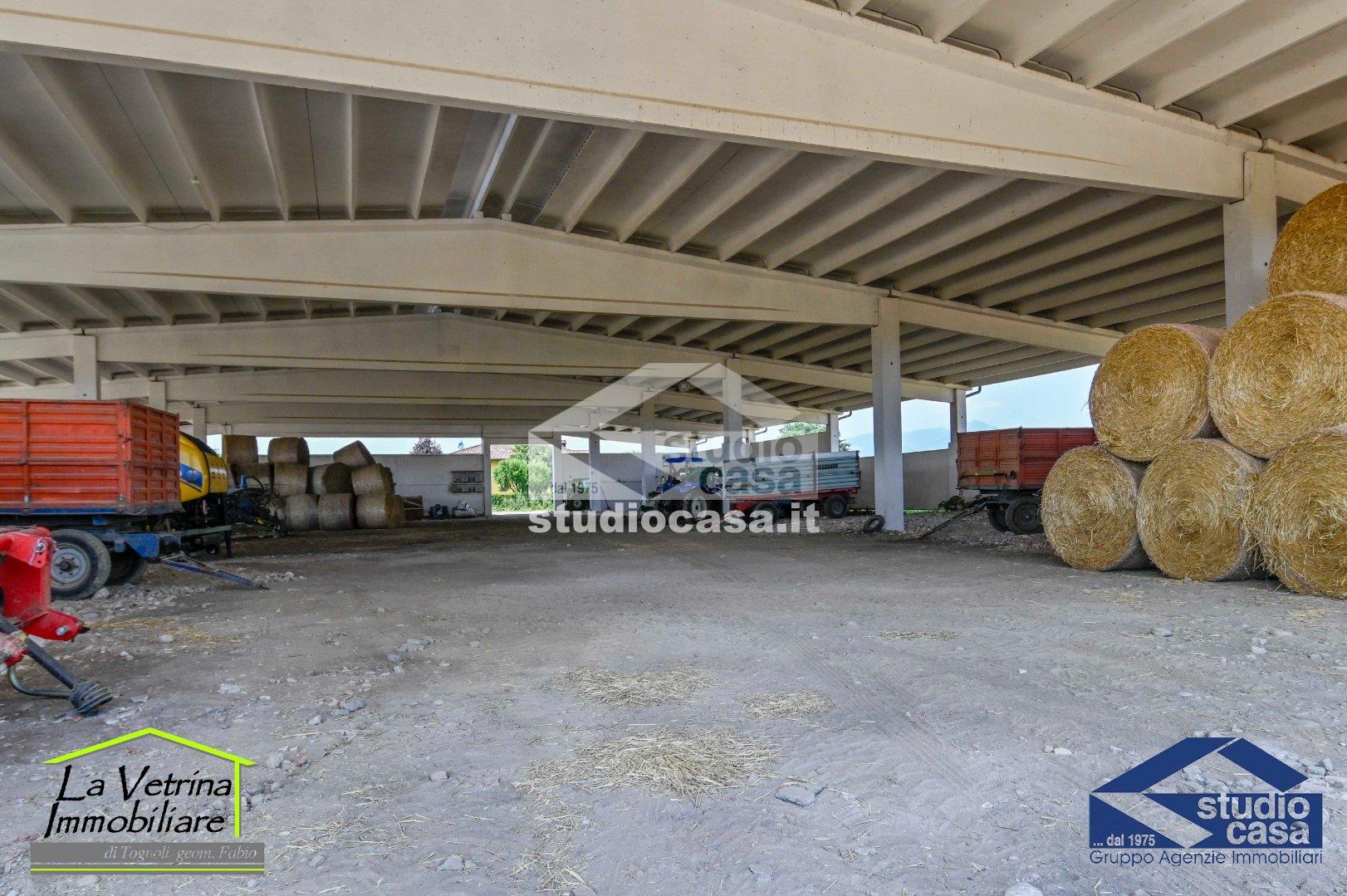 Capannone in affitto a Brusaporto