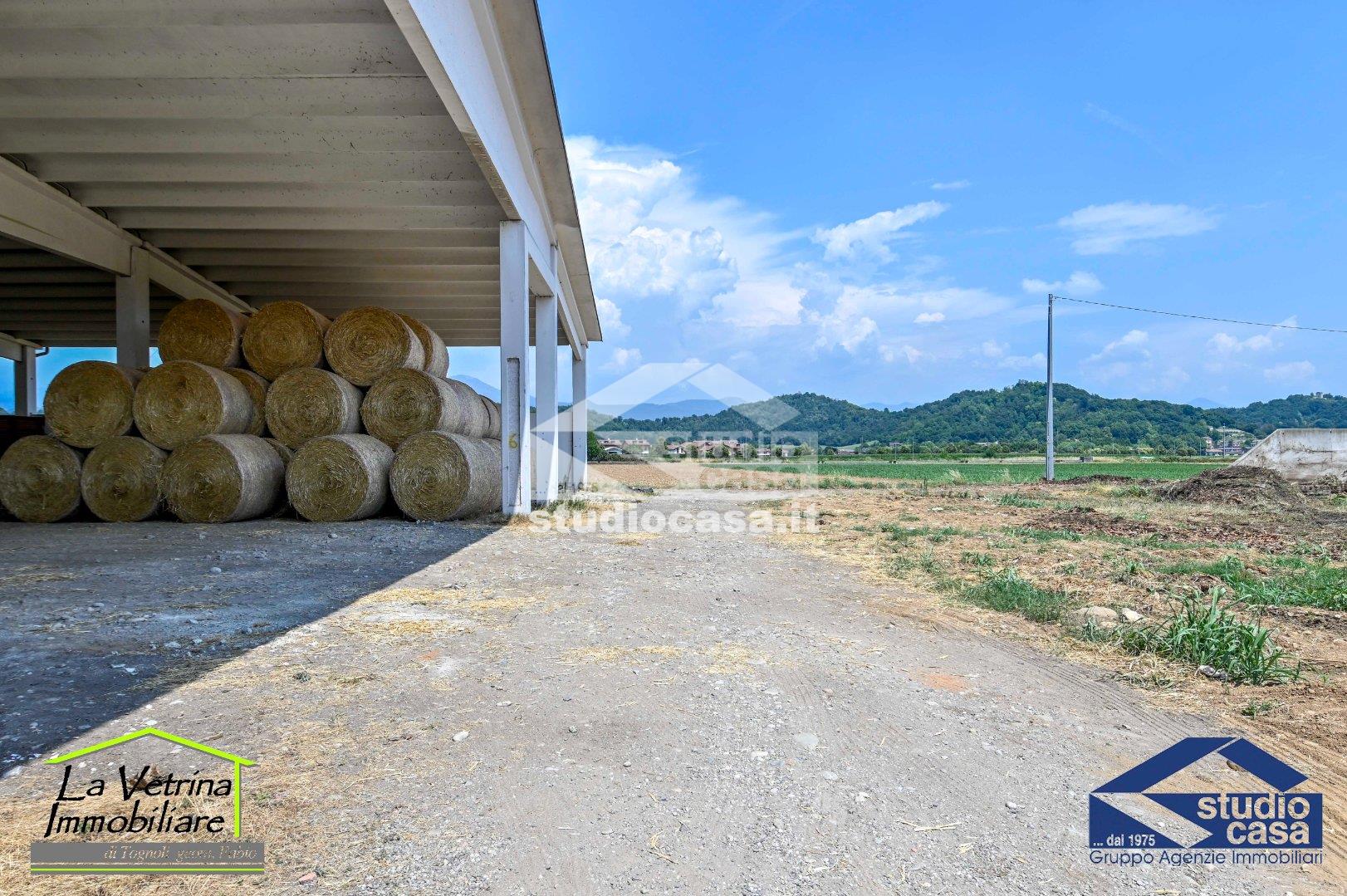 Capannone in affitto a Brusaporto