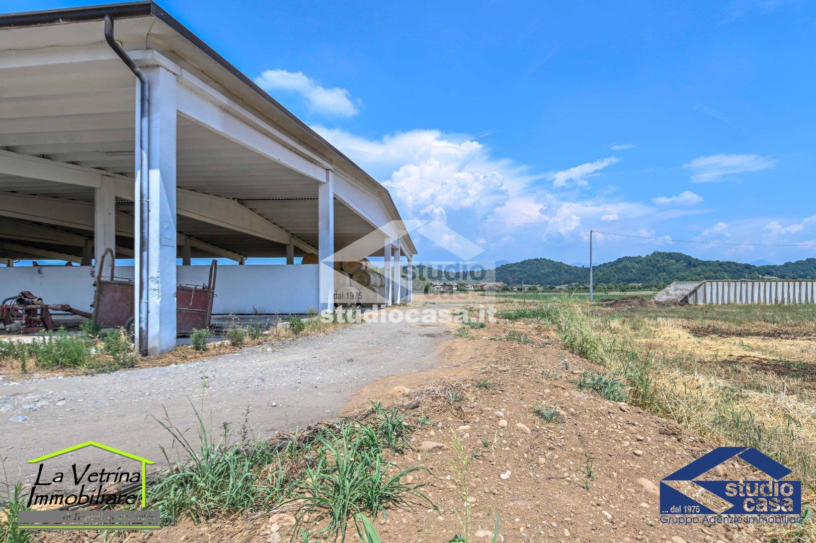 Capannone in affitto a Brusaporto