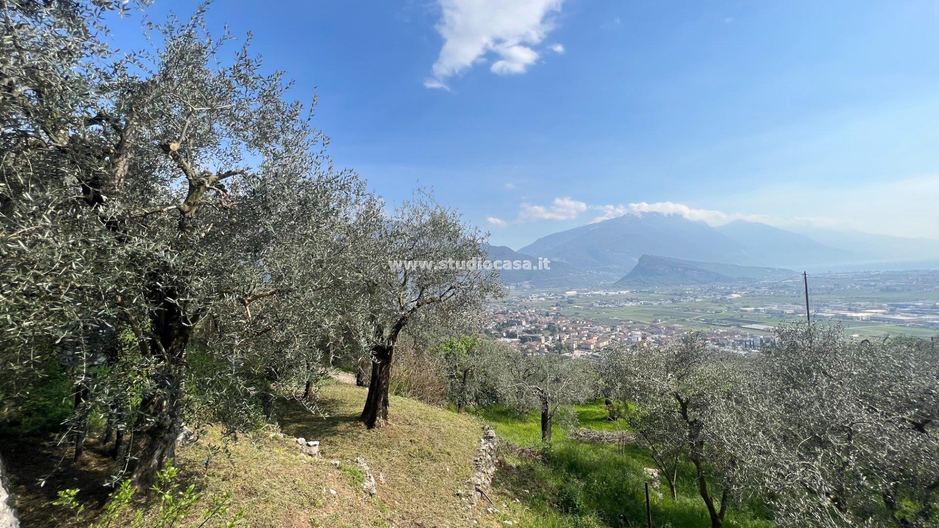 Terreno Agricolo in vendita a Arco