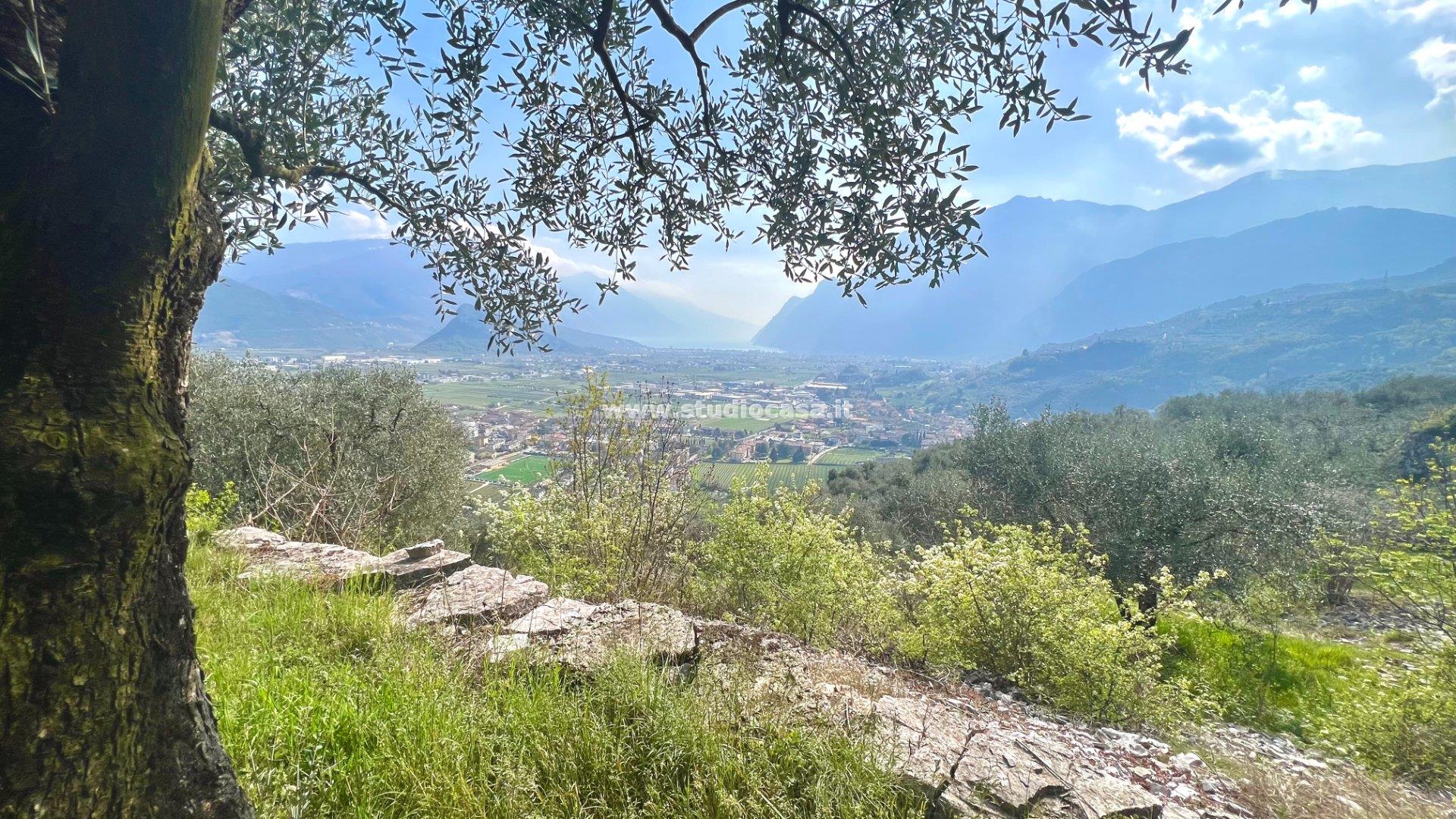 Terreno Agricolo in vendita a Arco