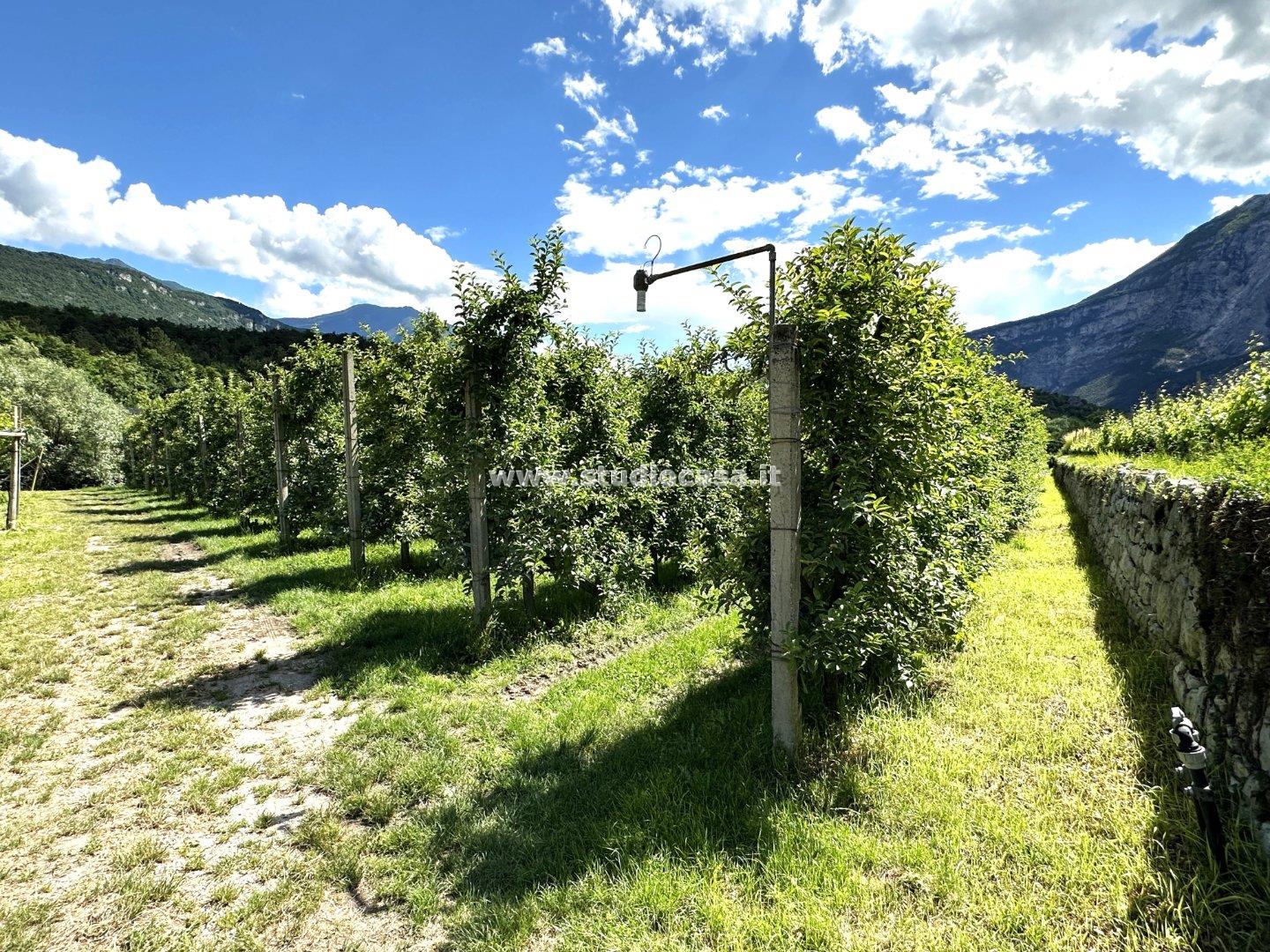 Terreno Agricolo in vendita a Dro