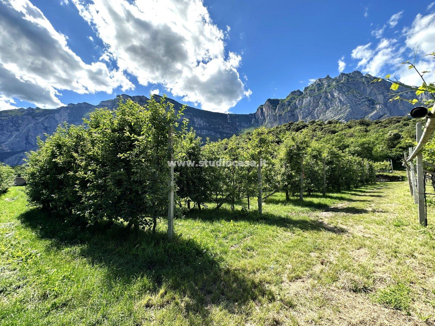 Terreno Agricolo in vendita a Dro