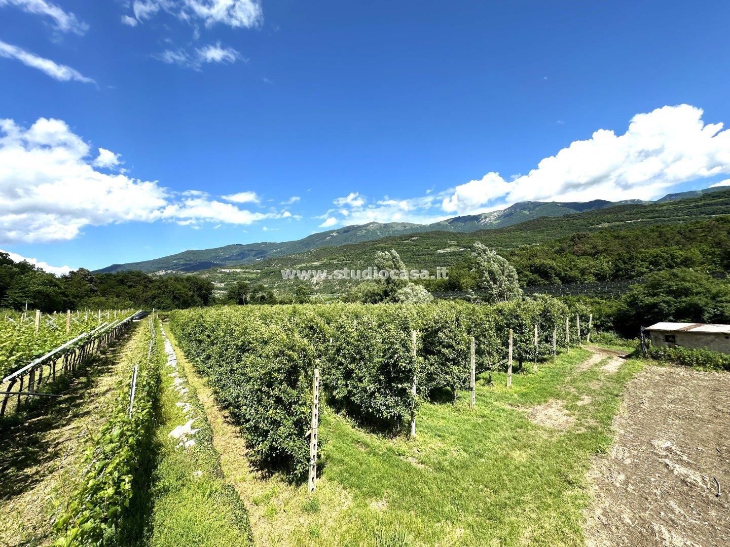 Terreno Agricolo in vendita a Dro