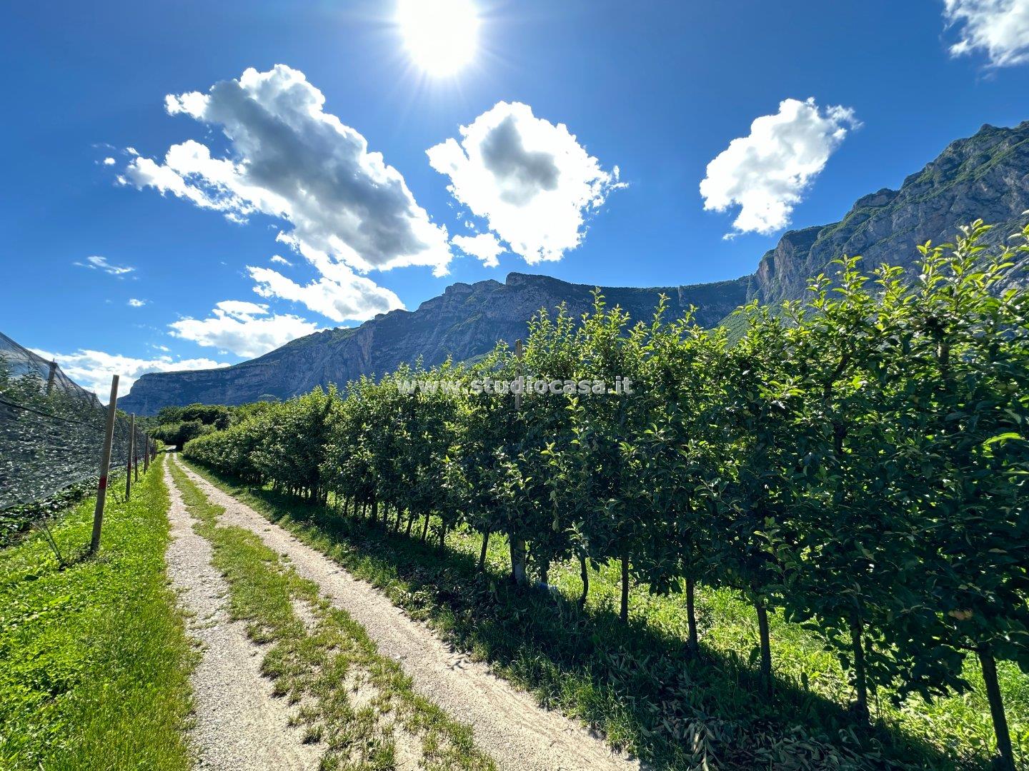 Terreno Agricolo in vendita a Dro