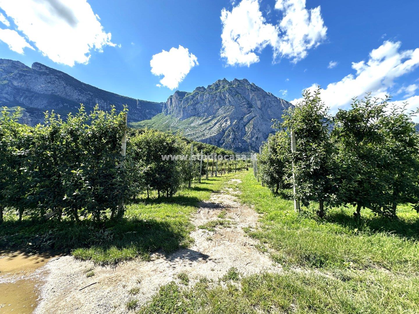 Terreno Agricolo in vendita a Dro