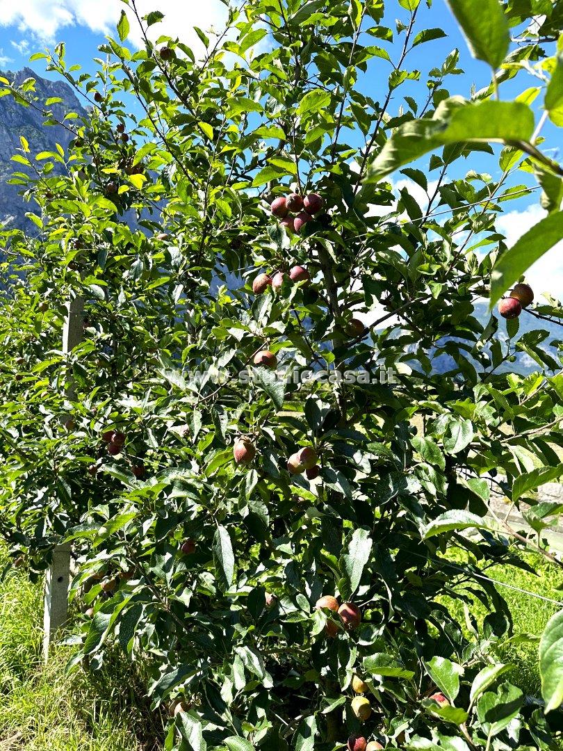 Terreno Agricolo in vendita a Dro