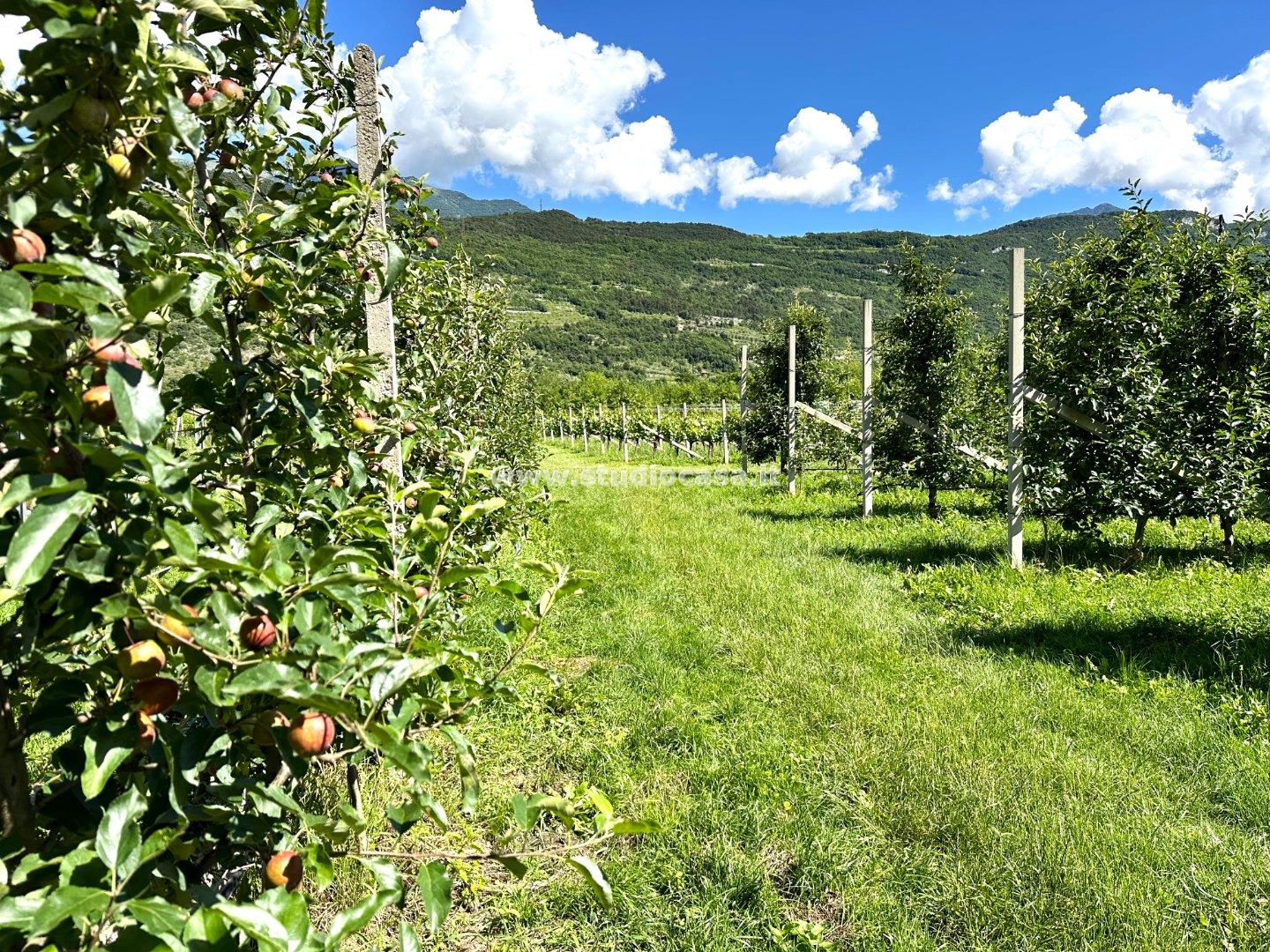 Terreno Agricolo in vendita a Dro