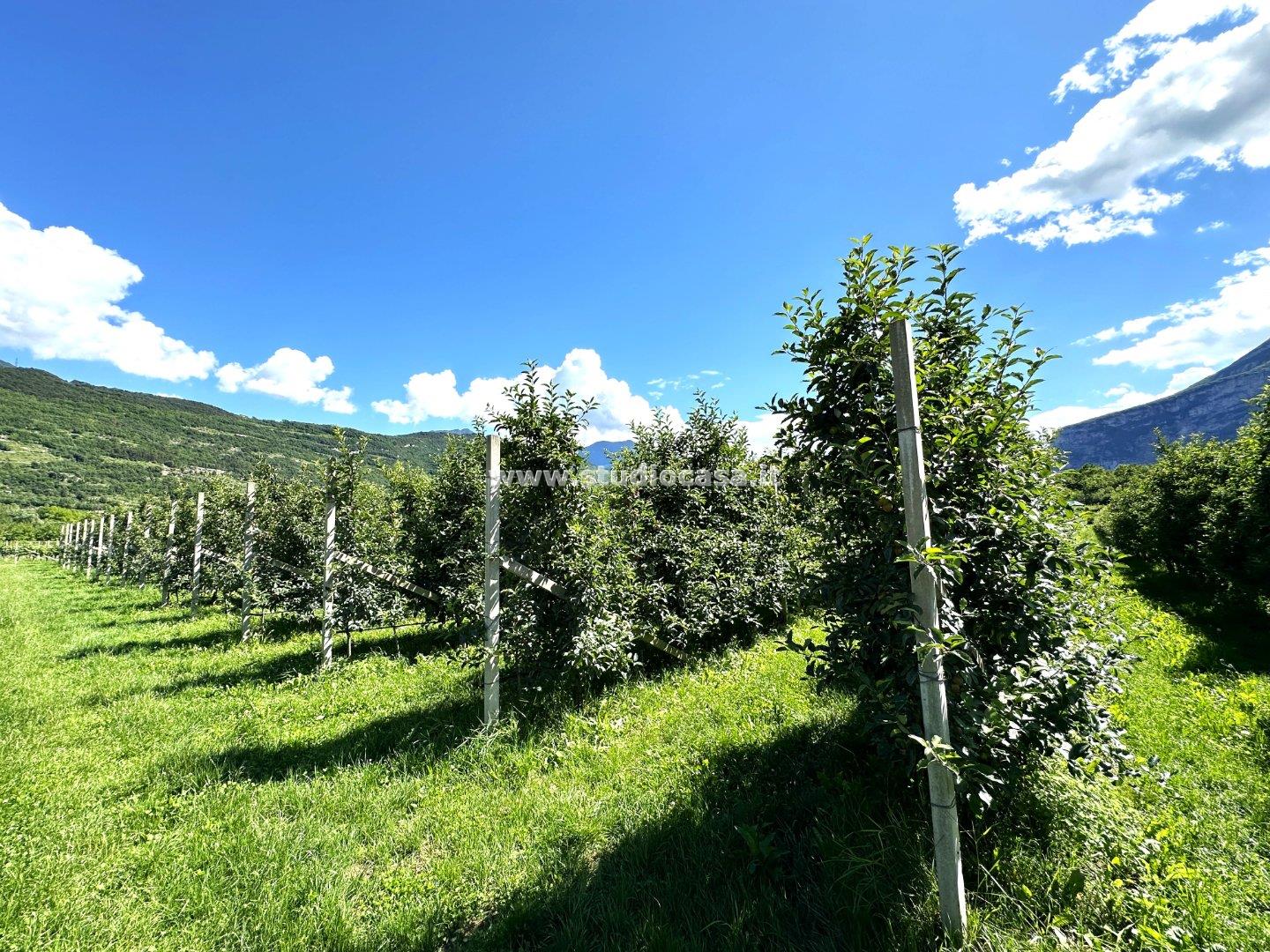 Terreno Agricolo in vendita a Dro