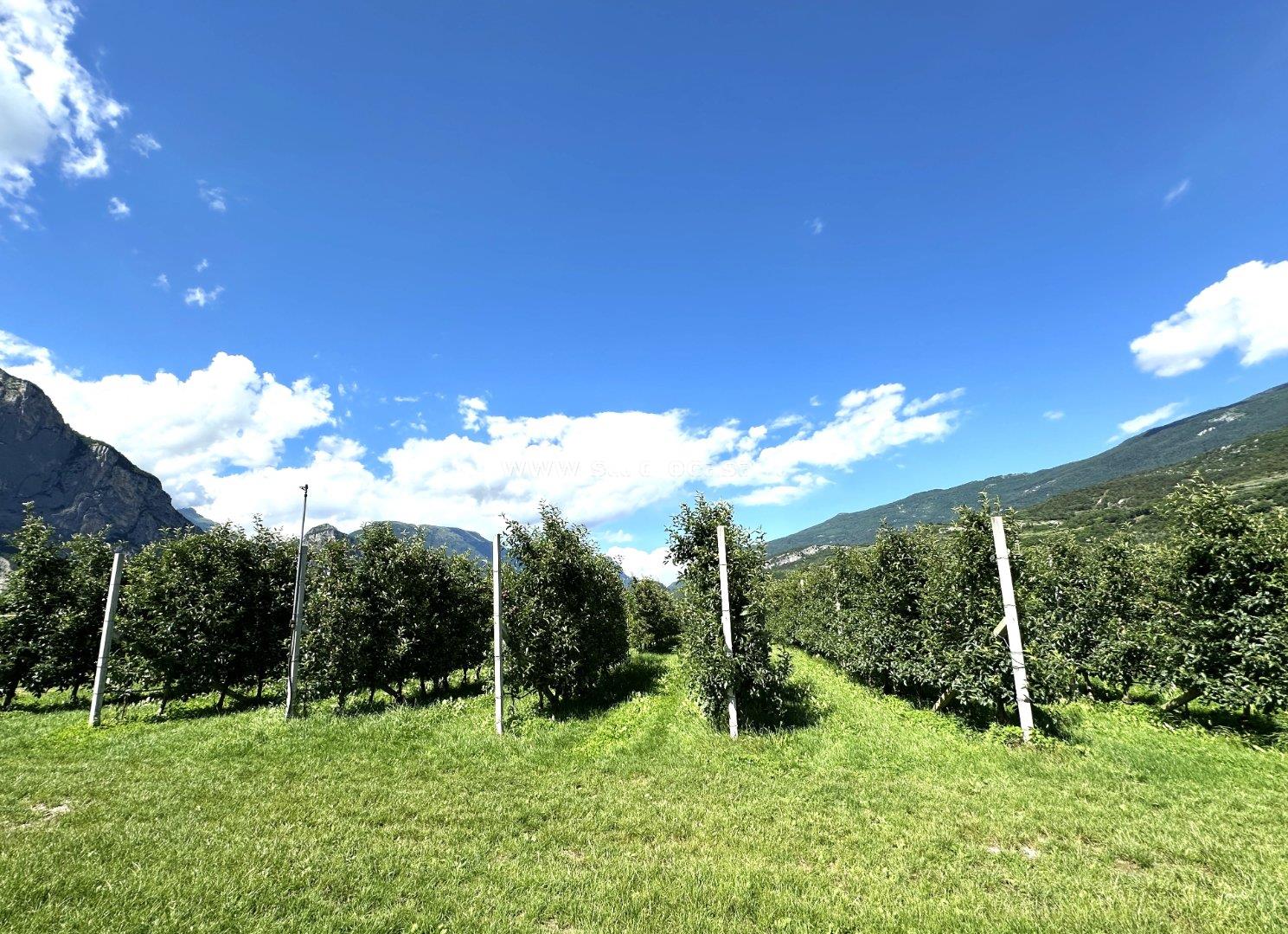 Terreno Agricolo in vendita a Dro