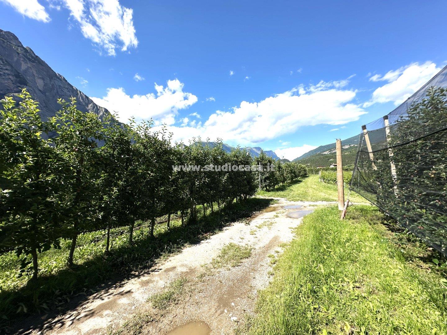 Terreno Agricolo in vendita a Dro