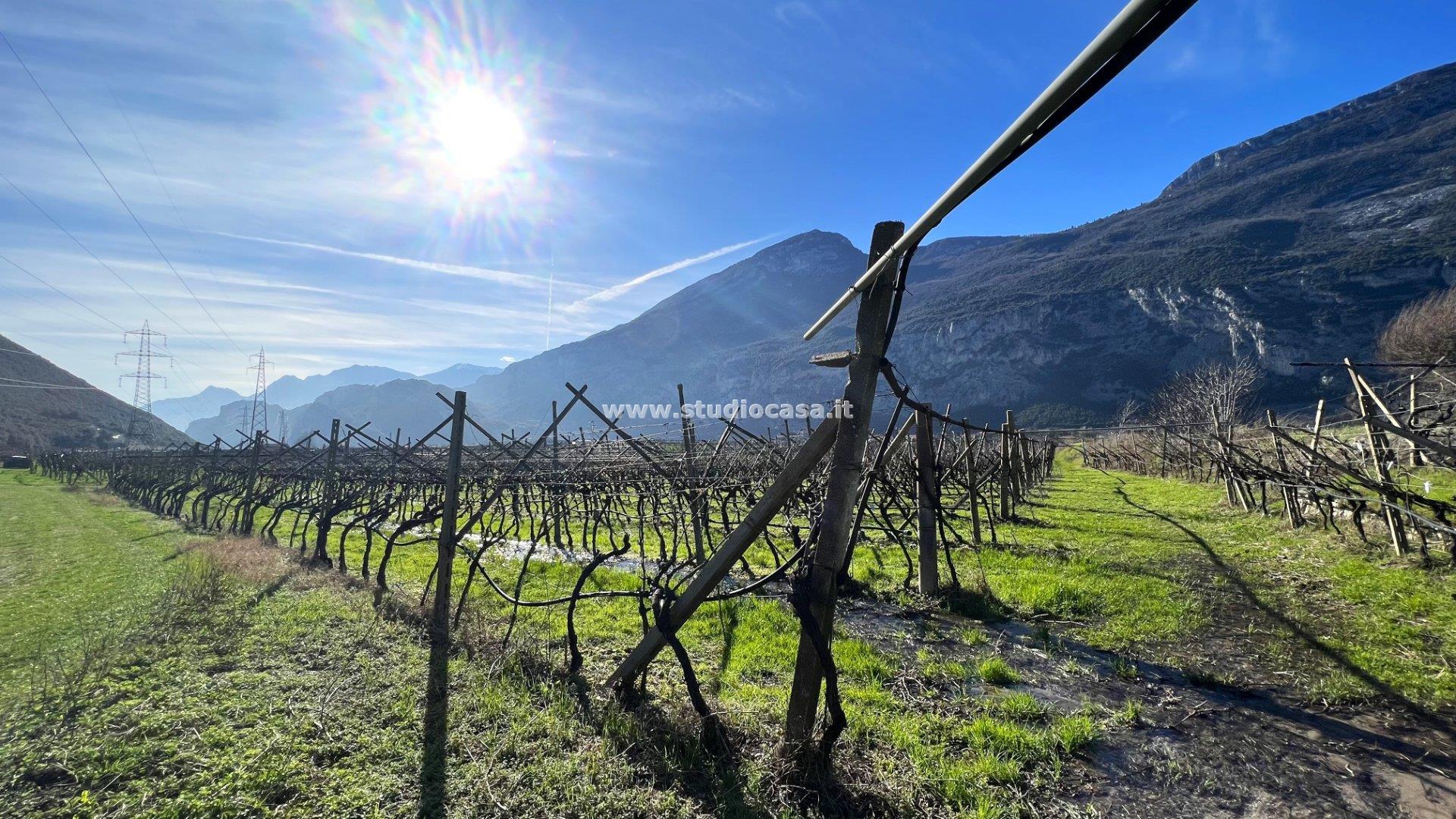 Terreno Agricolo in vendita a Dro