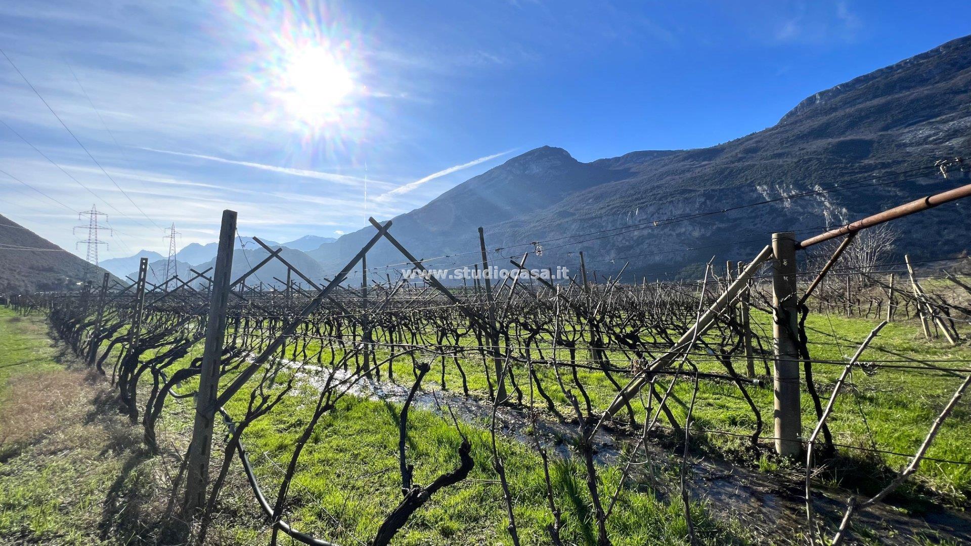 Terreno Agricolo in vendita a Dro