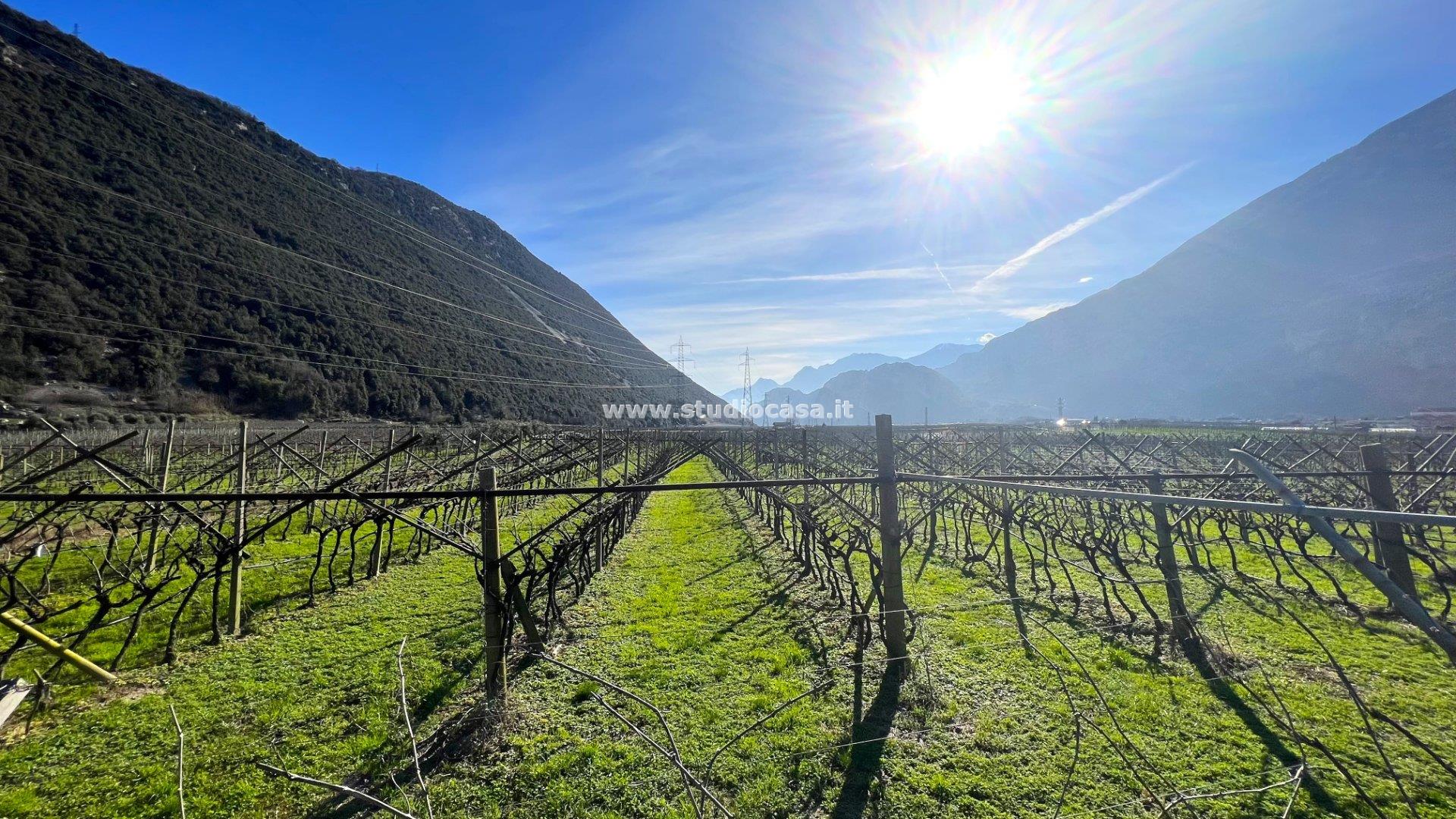 Terreno Agricolo in vendita a Dro