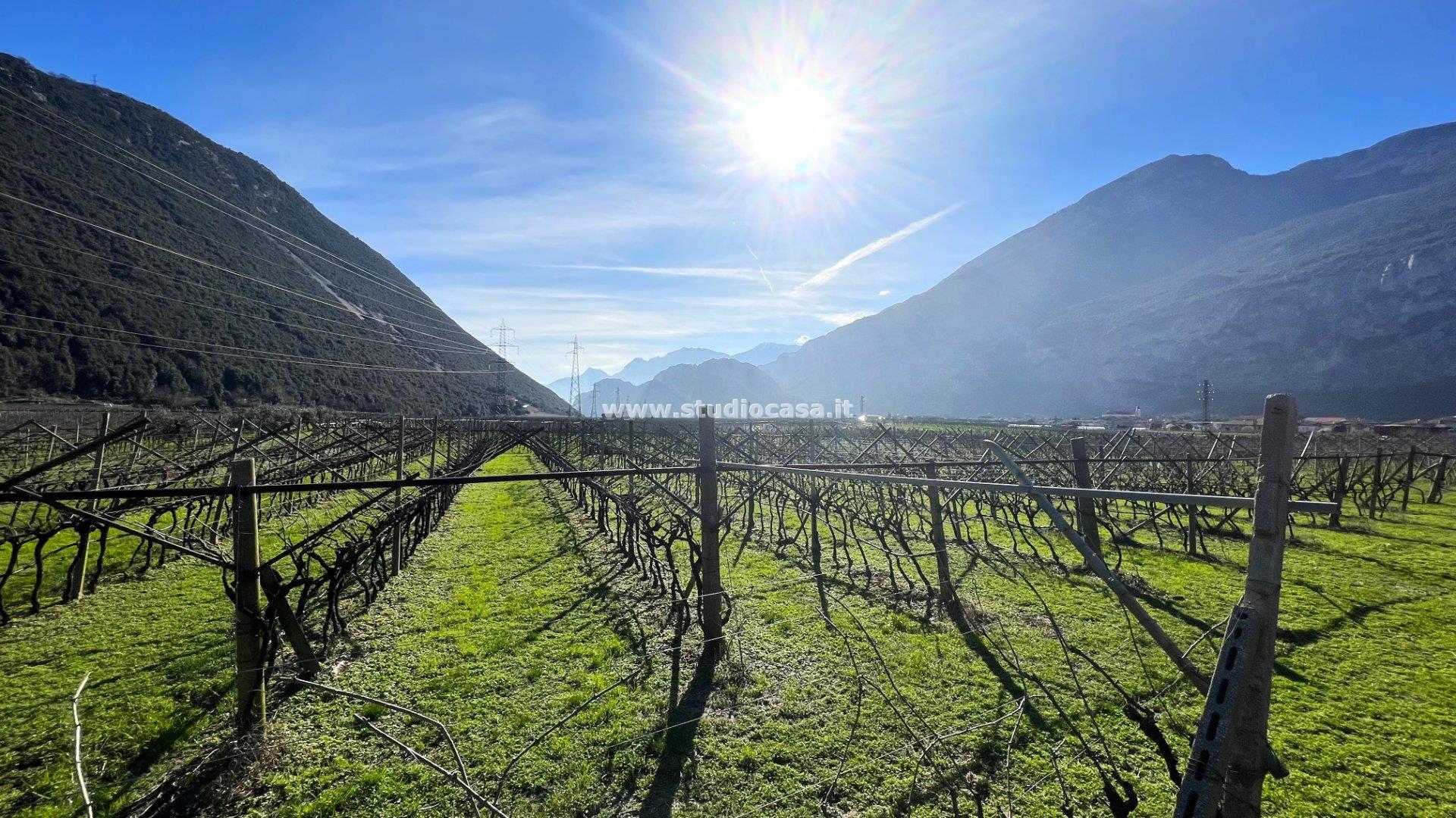 Terreno Agricolo in vendita a Dro