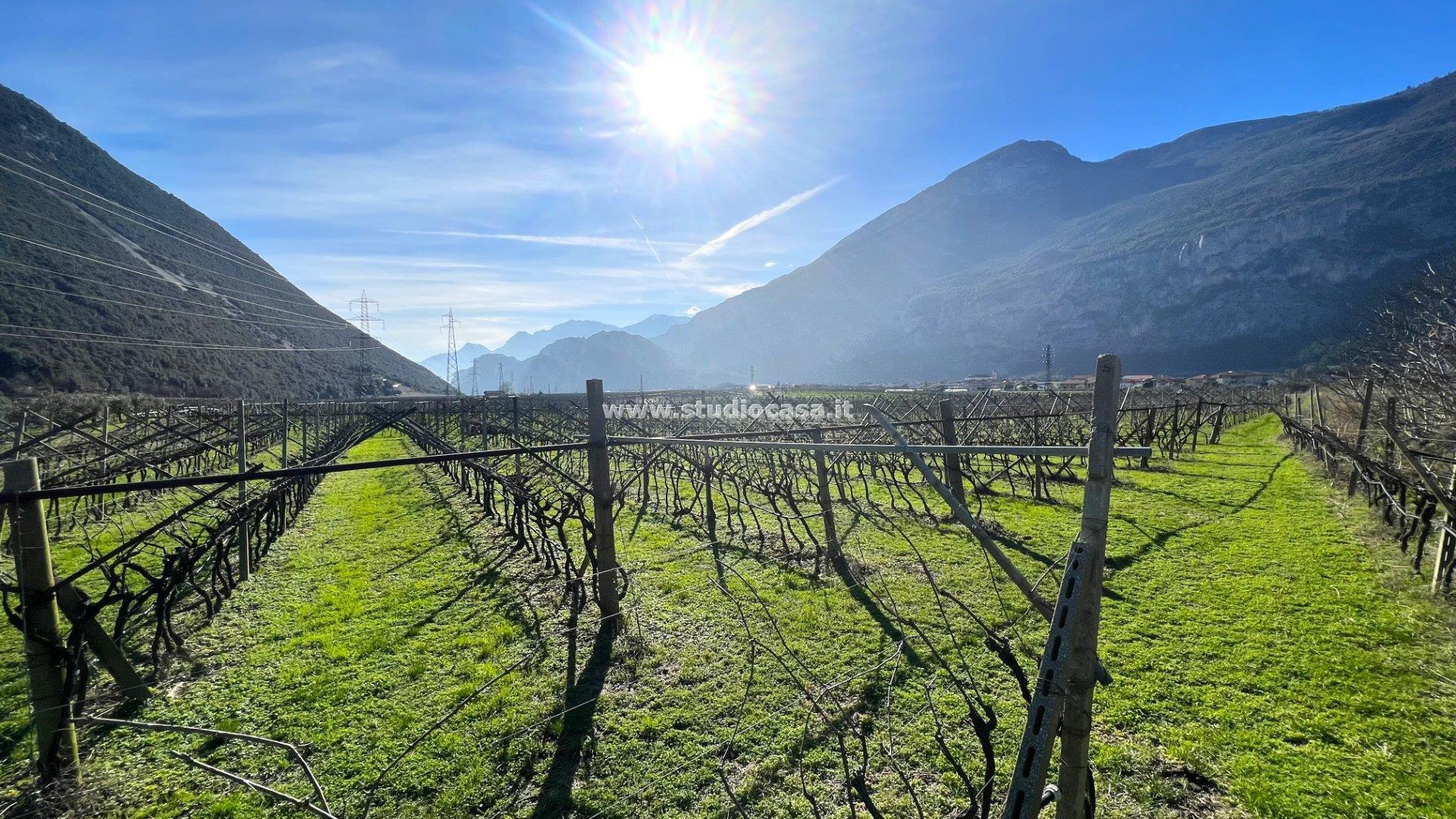 Terreno Agricolo in vendita a Dro