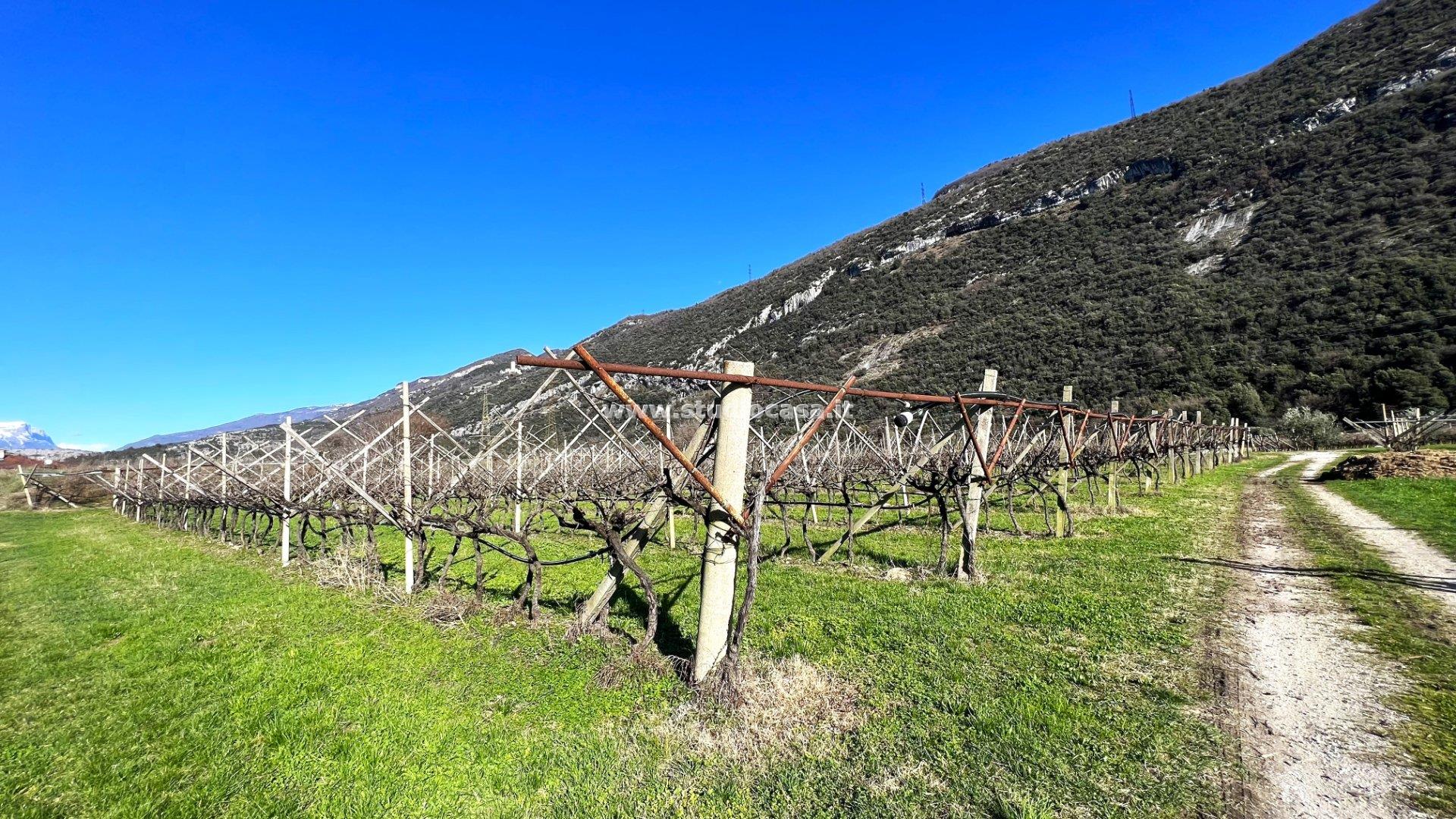 Terreno Agricolo in vendita a Dro