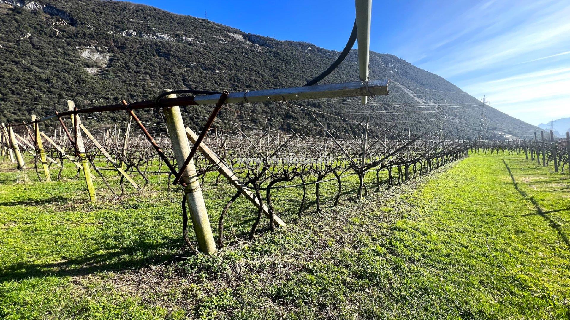 Terreno Agricolo in vendita a Dro