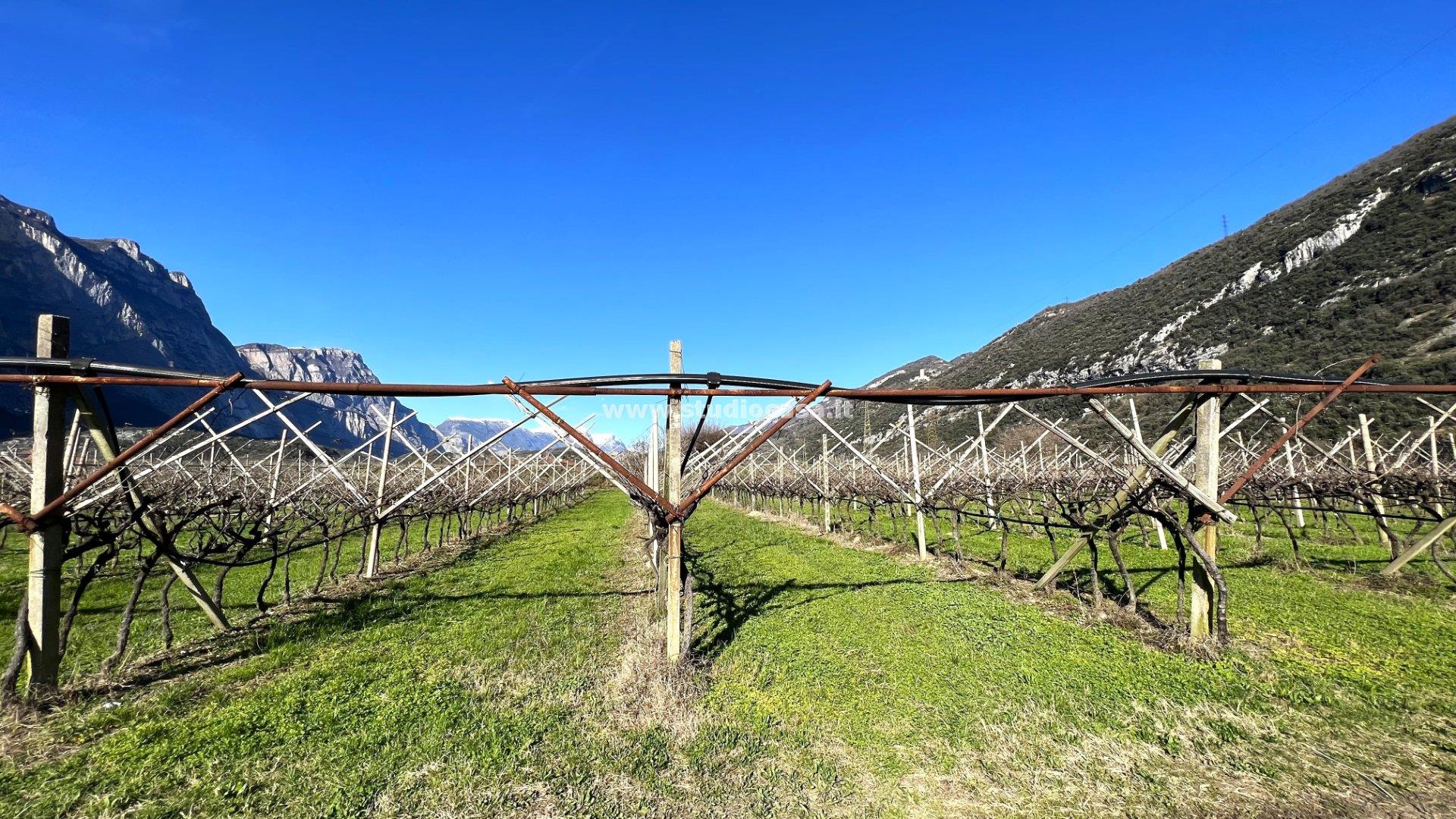 Terreno Agricolo in vendita a Dro