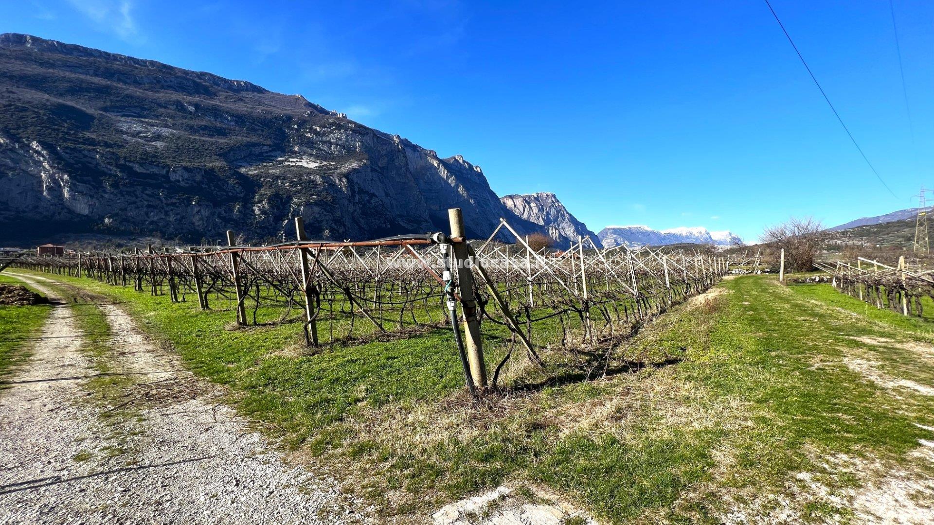 Terreno Agricolo in vendita a Dro