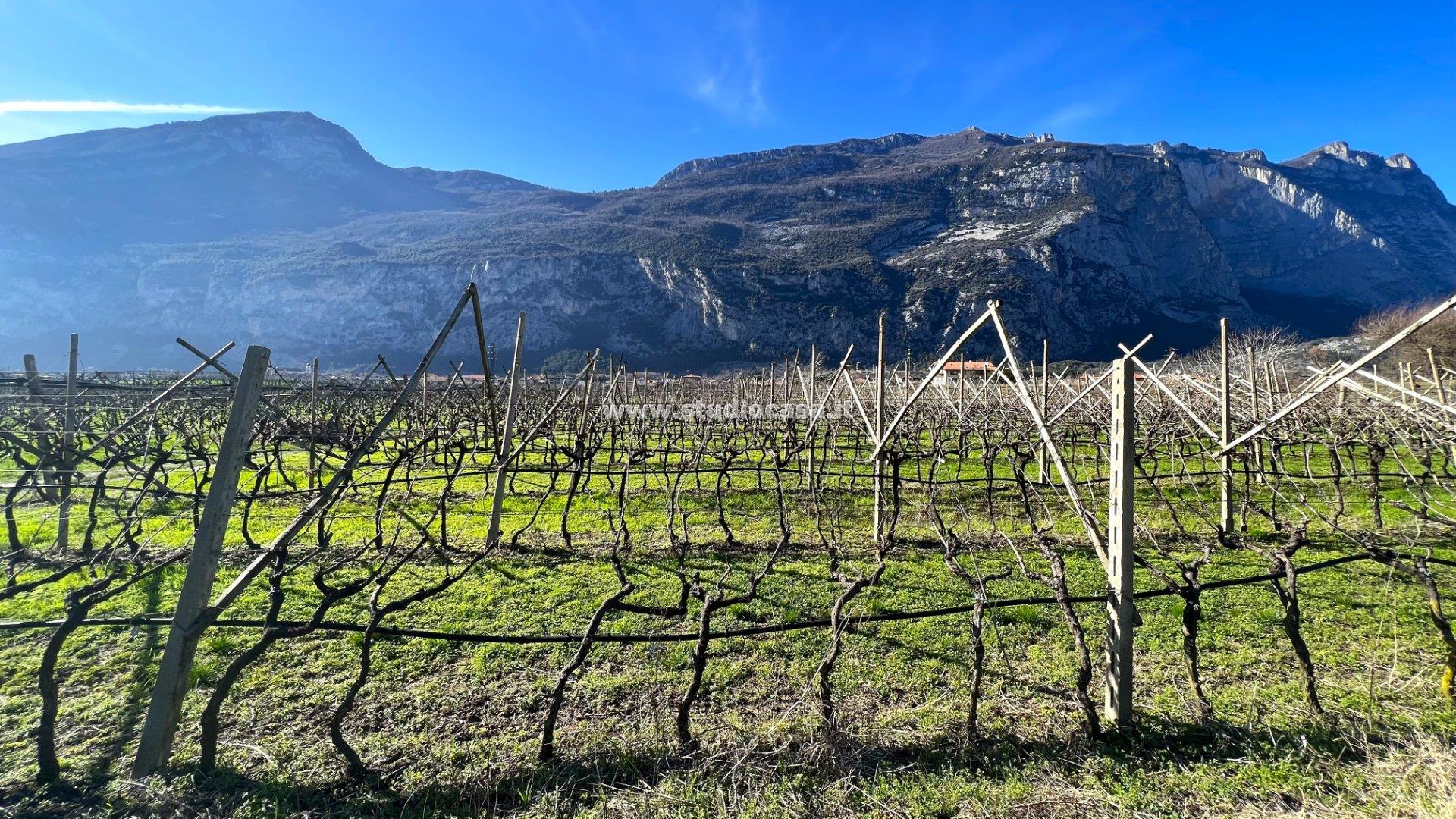 Terreno Agricolo in vendita a Dro