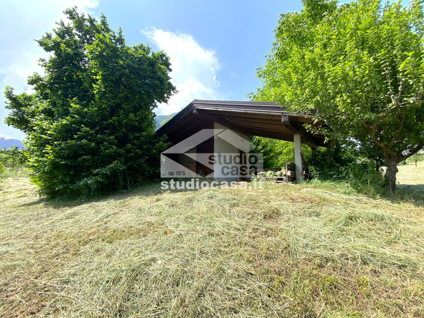 Terreno Agricolo in vendita a Ledro