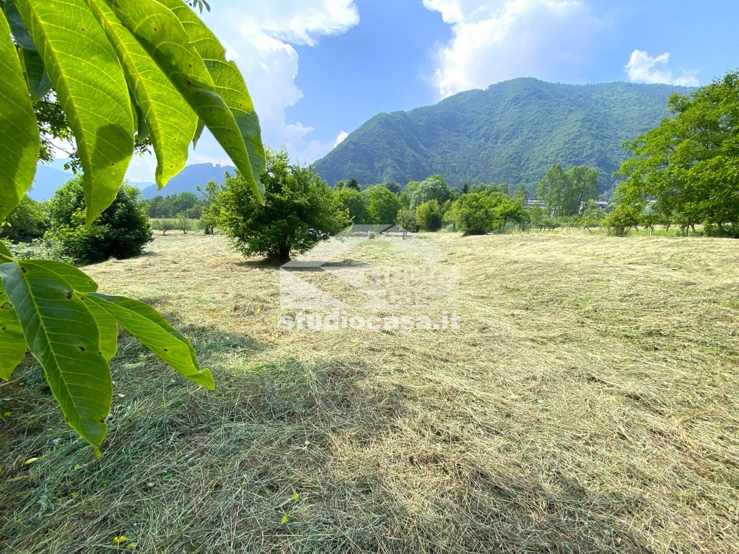Terreno Agricolo in vendita a Ledro