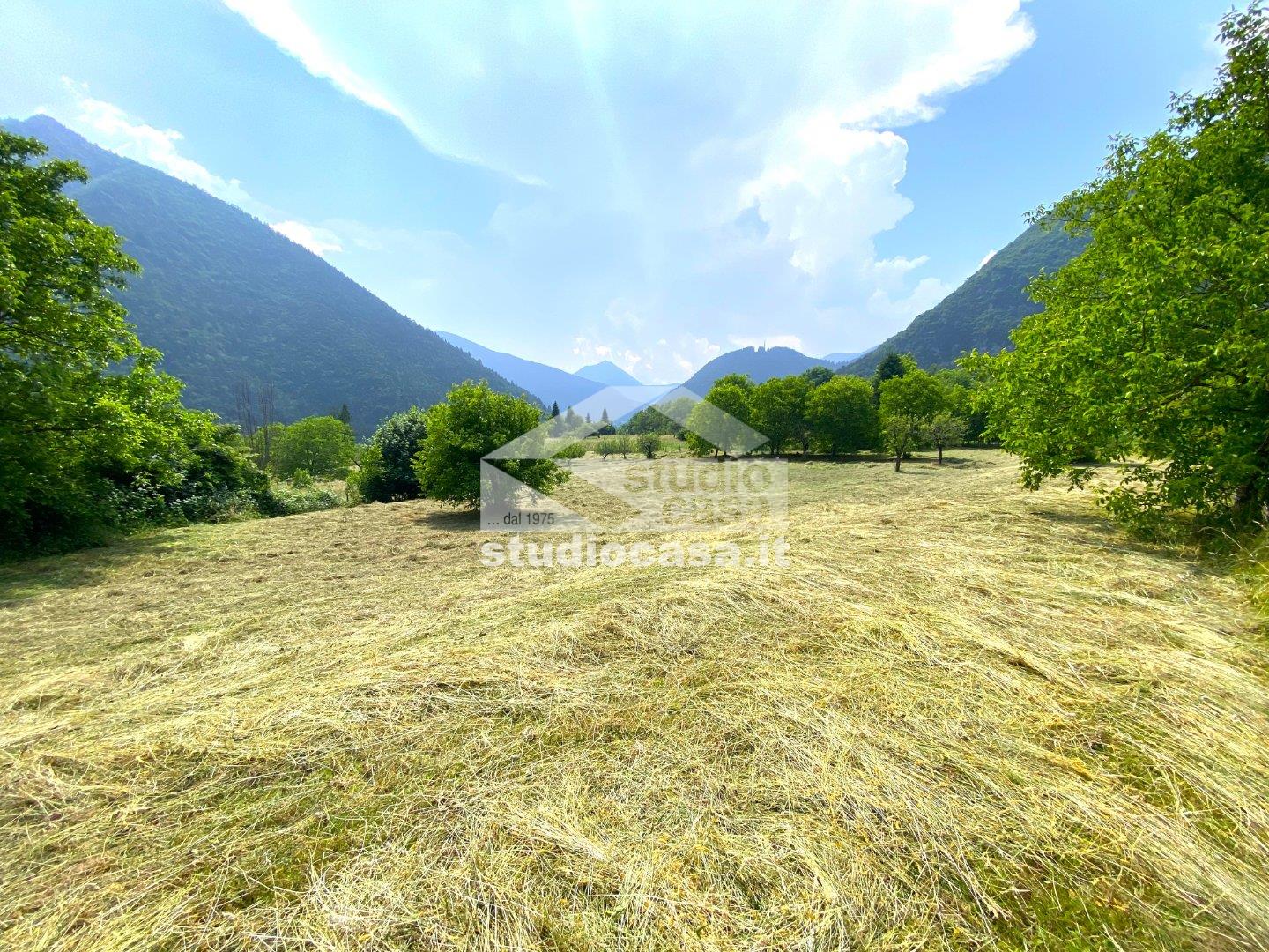 Terreno Agricolo in vendita a Ledro