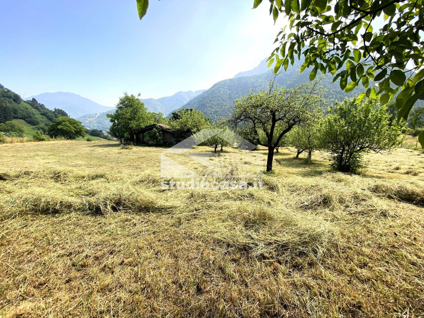 Terreno Agricolo in vendita a Ledro